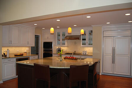Chicago Kitchen Remodel - Integrated Appliances
