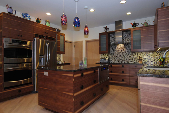 Chicago Kitchen Remodel - Convection Oven