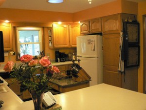 kitchen remodeling chicago