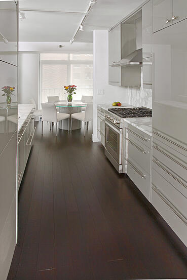 Chicago Kitchen Remodel