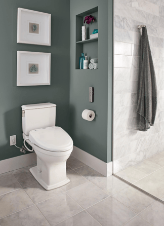 Bathroom Remodeling - Bidet Toilet Seats