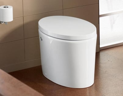 Chicago Bathroom Remodel - Tankless Toilet